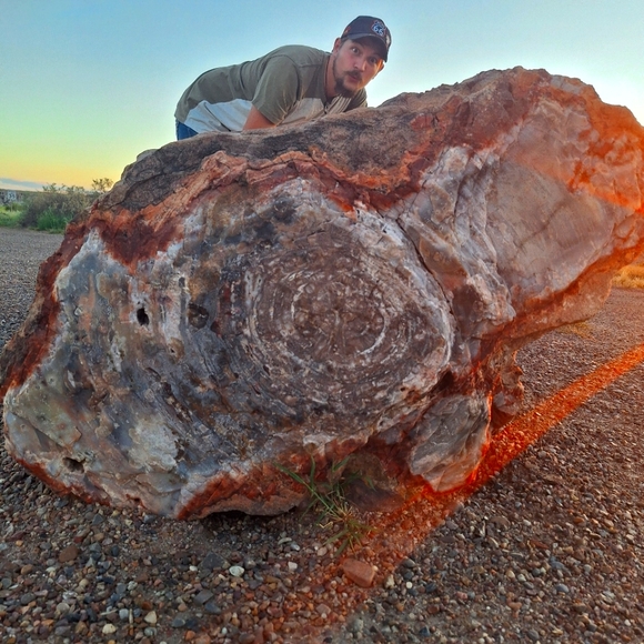 Meet your Posher, Mum and Kiddo! - Picture 13 of 16